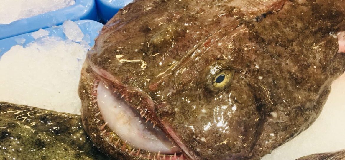 Seeteufel frisch an der Fischtheke im Mercadonna - Auf Ibiza echt günstig und superlecker