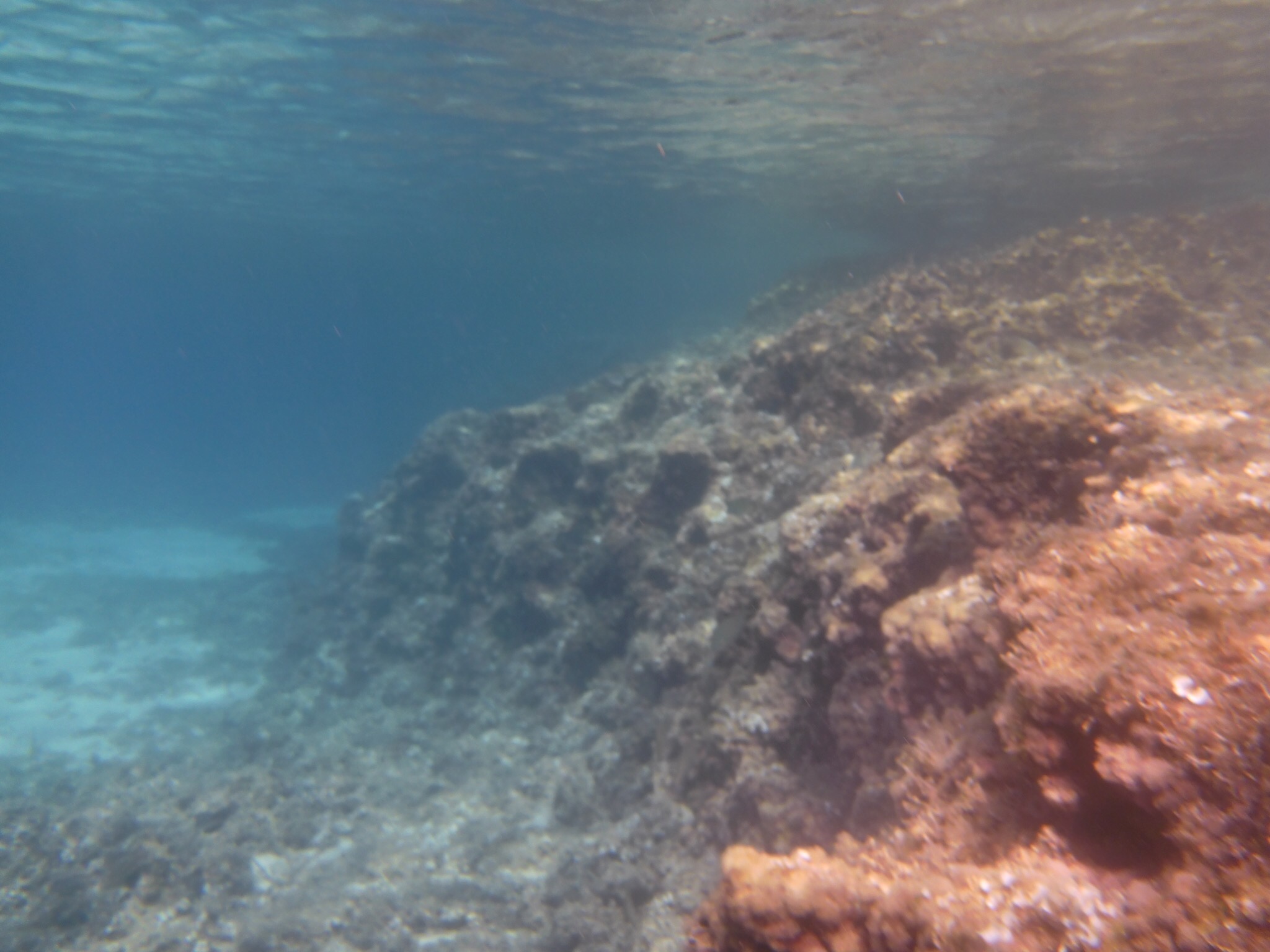KrakiKrak, das kleine Unterwasser-Gespenst, verwandelt sich zu Stein