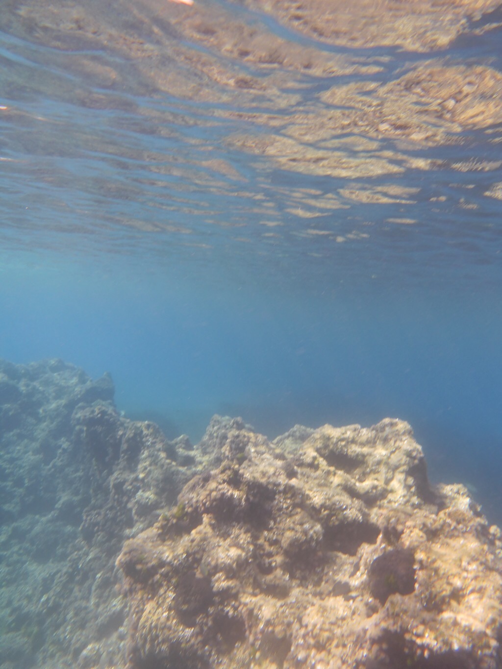KrakiKrak, das kleine Unterwasser-Gespenst, verwandelt sich zu Stein