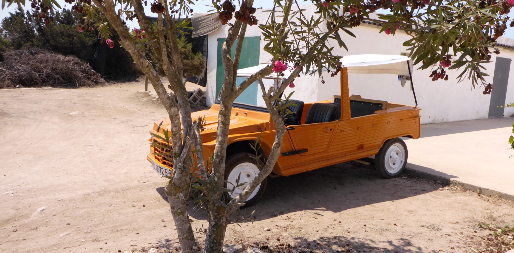Take a ride in the Mehari over Formentera